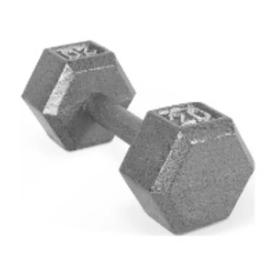 20lb Cast Iron Hex Dumbbell Single, Solid One Piece Weight for Home Gym Strength Training, Anti Roll Design - WeightCityStore
