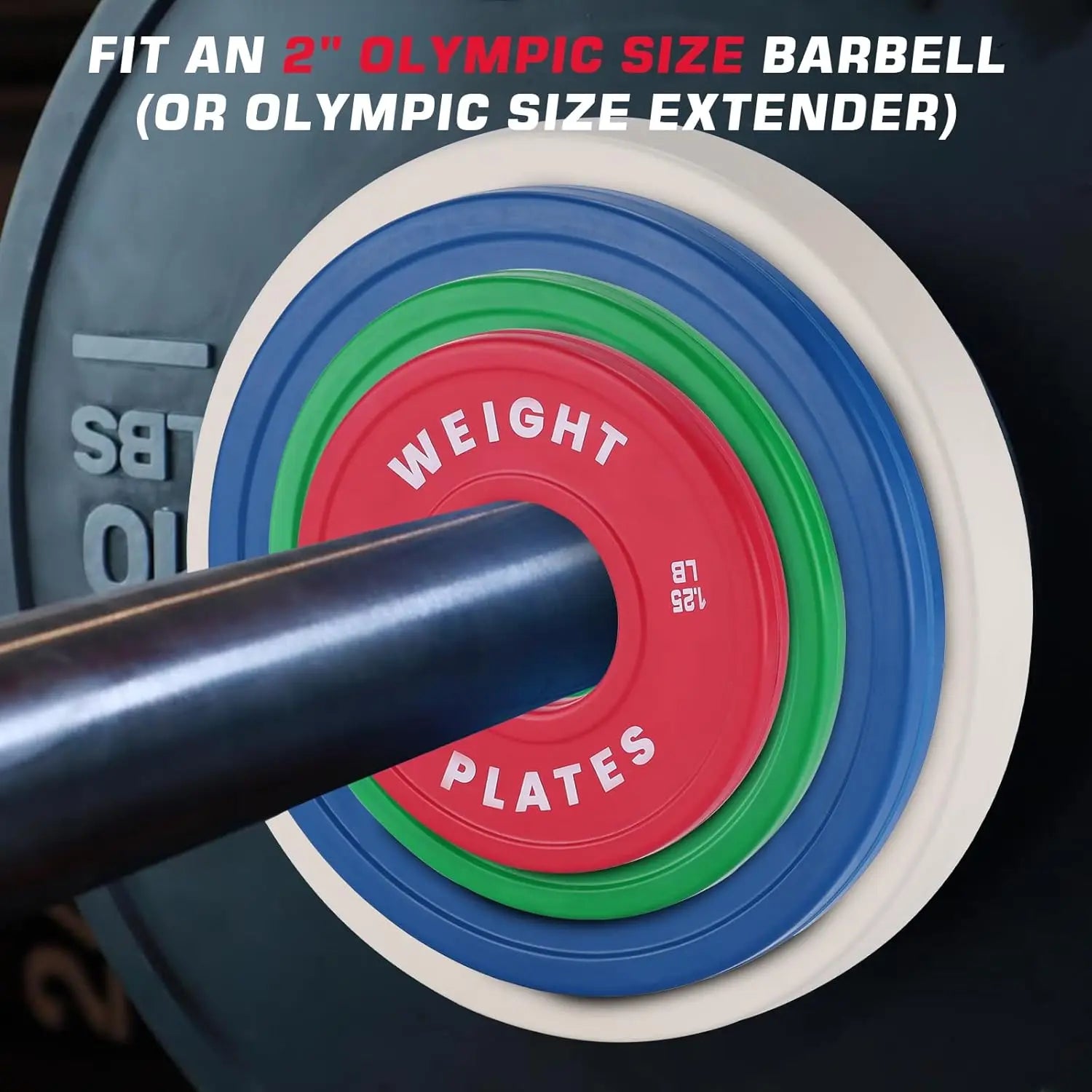 Rubber Coated Plates - WeightCityStore